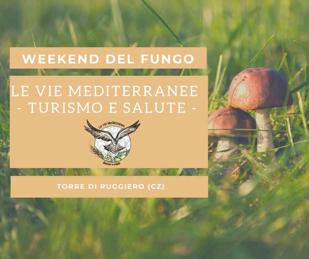 Le Vie Mediterranee Torre di Ruggiero Exterior photo
